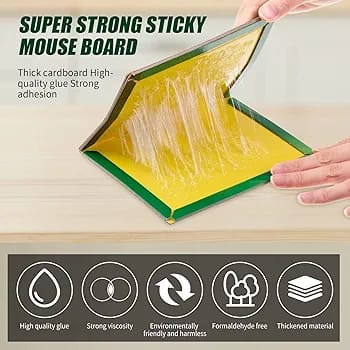 Mouse Trap Glue Book