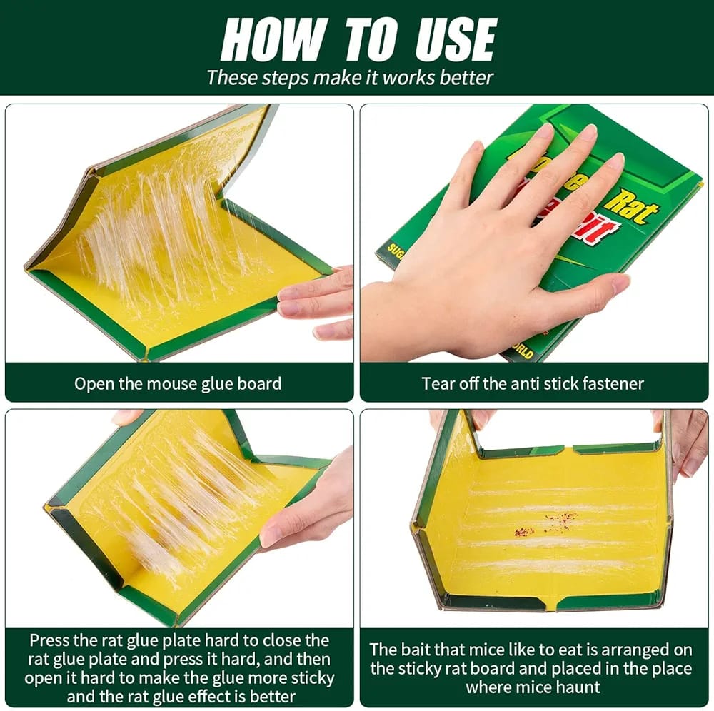 Mouse Trap Glue Book