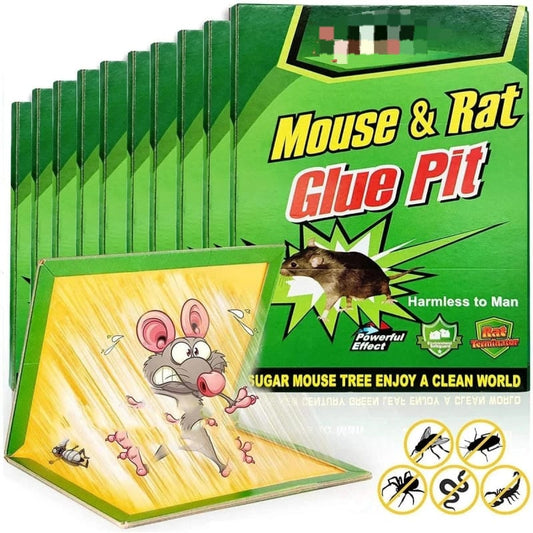 Mouse Trap Glue Book
